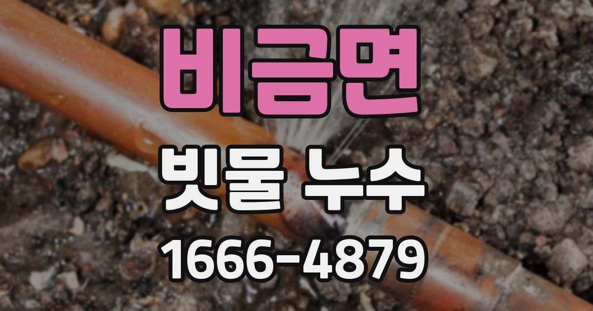 비금면 빗물 누수