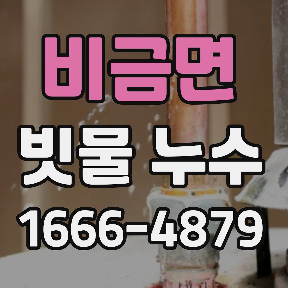 비금면 빗물 누수