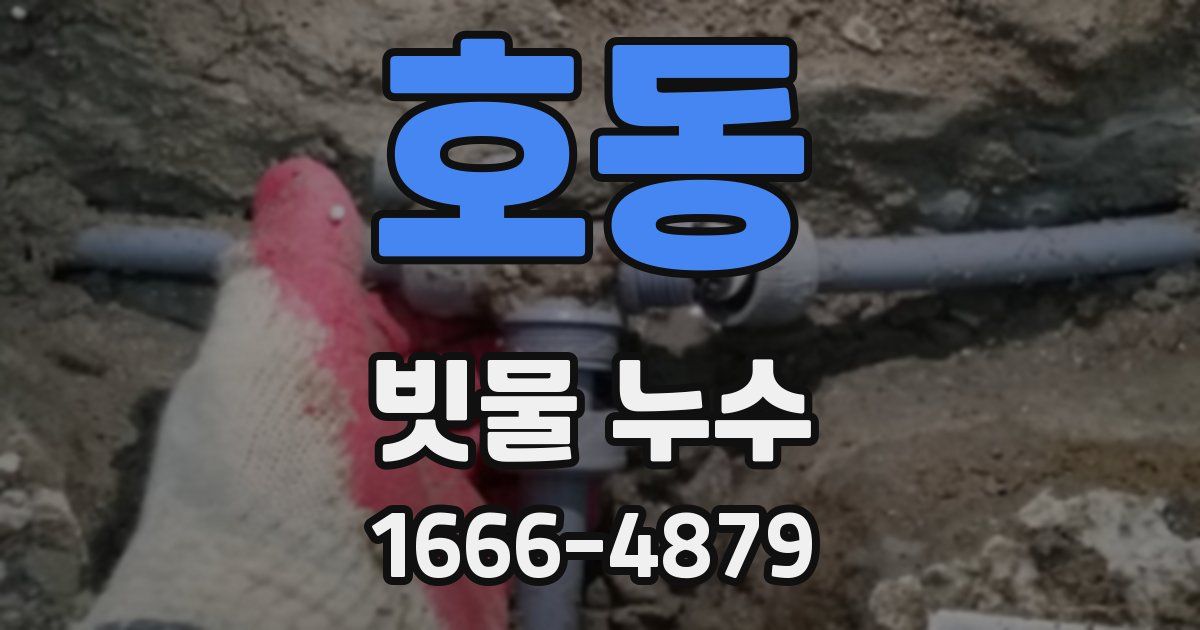 호동 빗물 누수