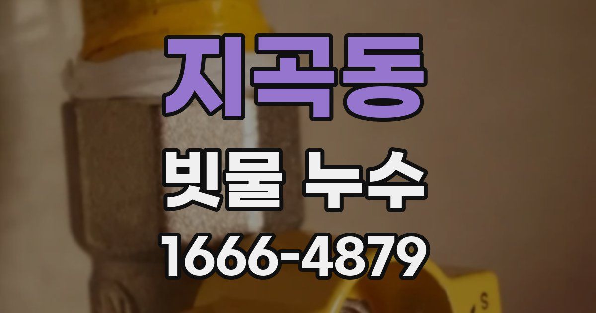 지곡동 빗물 누수