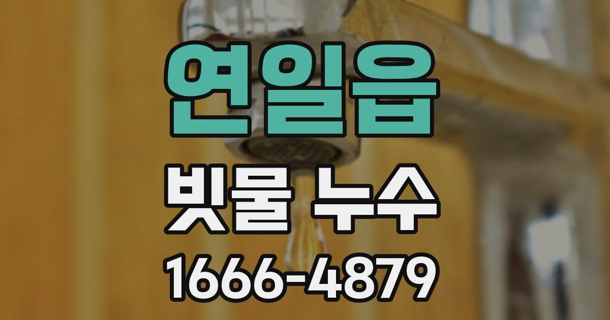 연일읍 빗물 누수