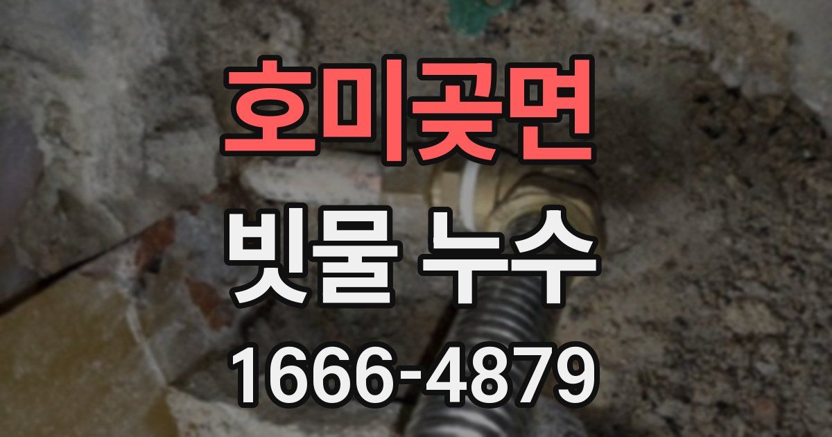 호미곶면 빗물 누수