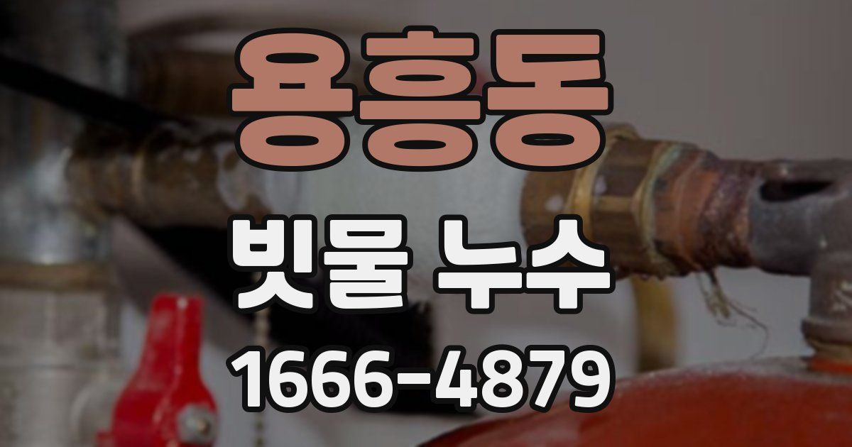용흥동 빗물 누수