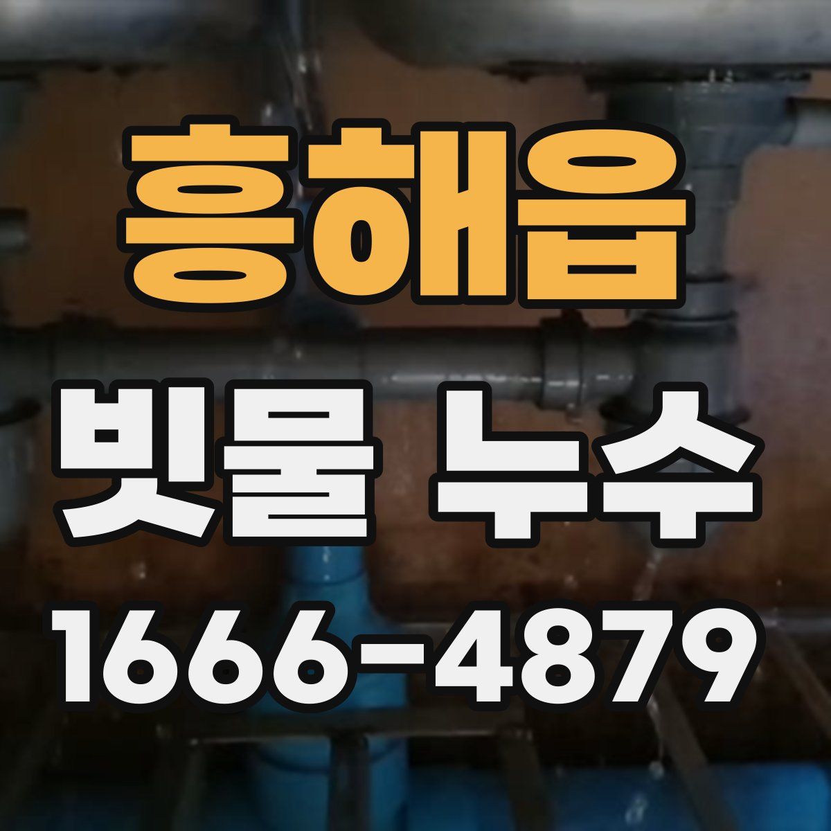 흥해읍 빗물 누수
