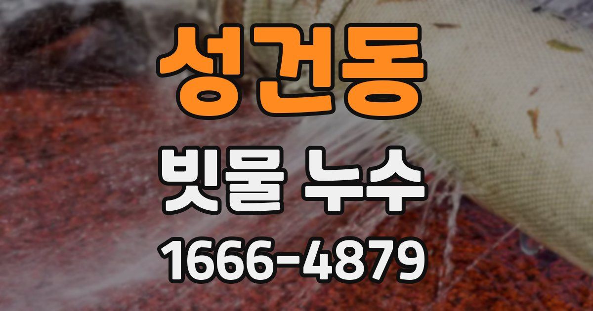 성건동 빗물 누수