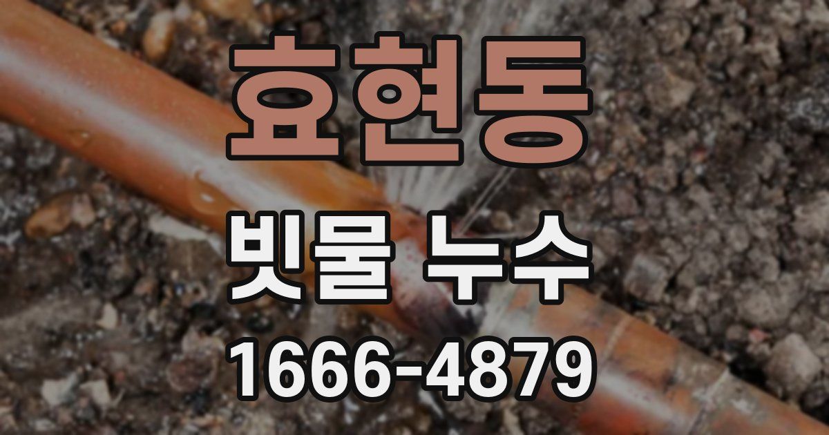 효현동 빗물 누수