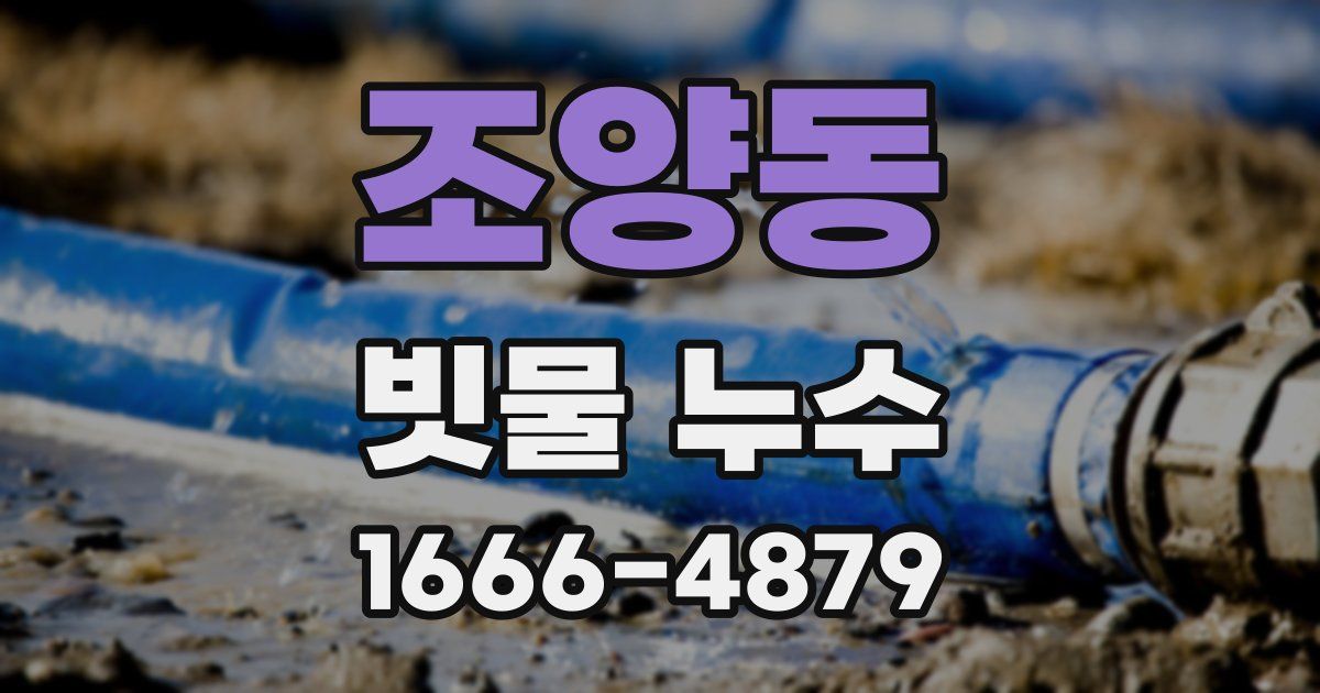 조양동 빗물 누수