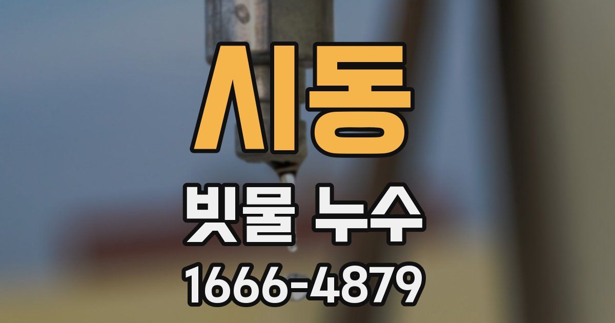 시동 빗물 누수