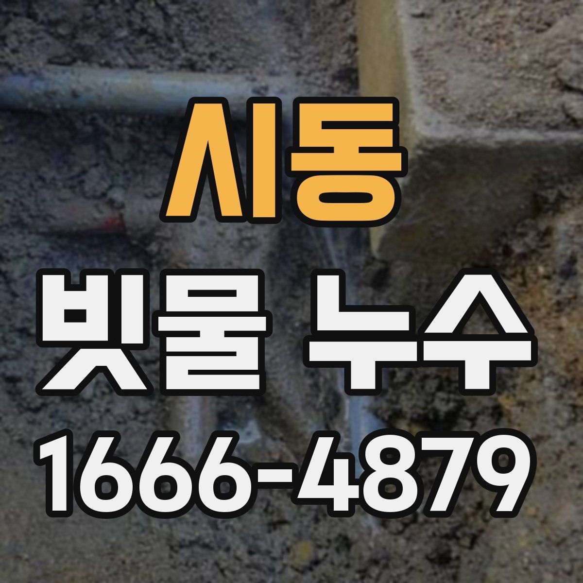 시동 빗물 누수