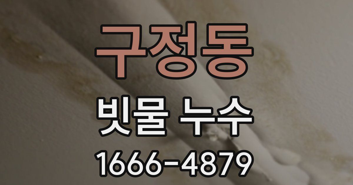 구정동 빗물 누수