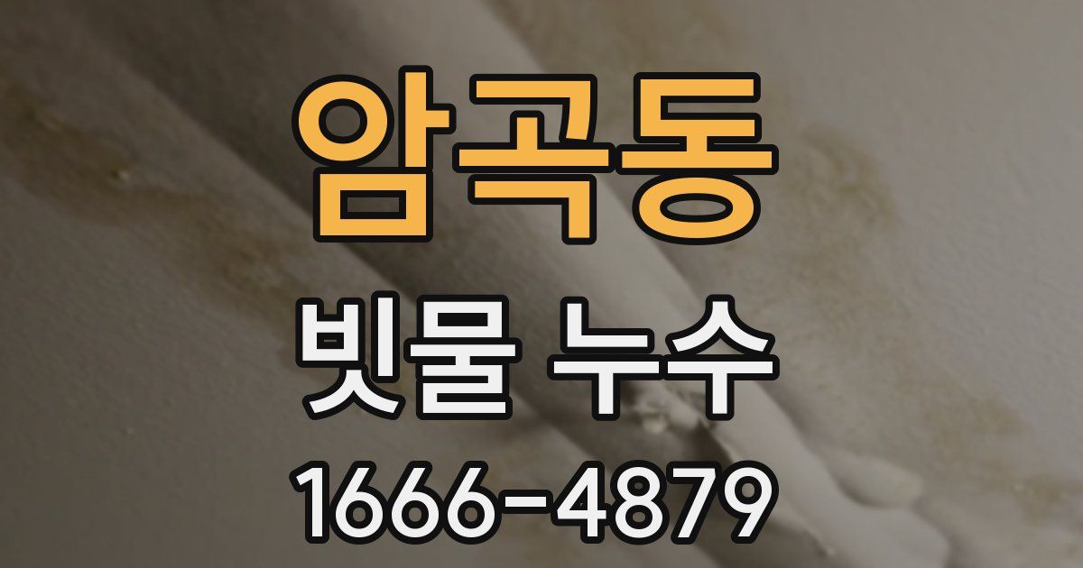 암곡동 빗물 누수