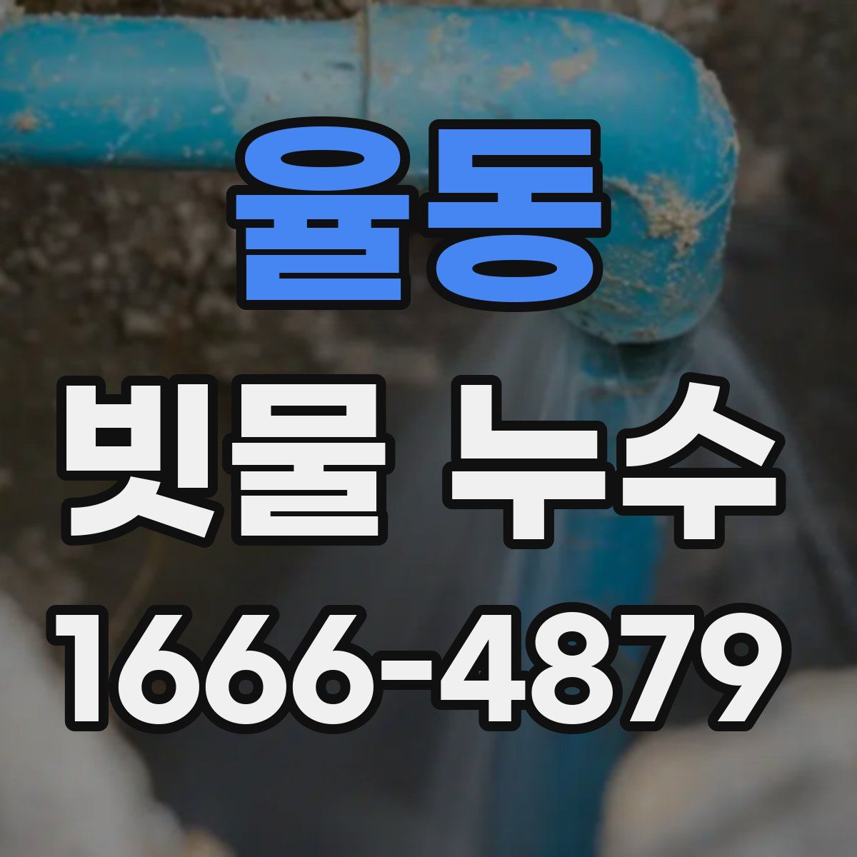 율동 빗물 누수