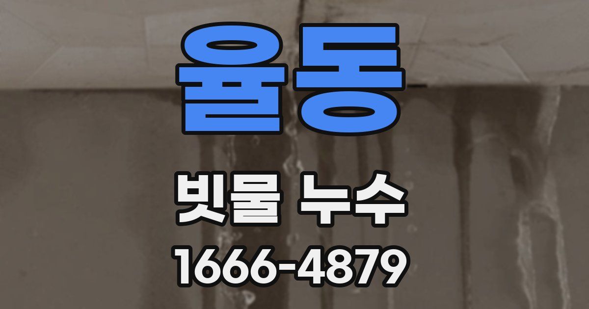 율동 빗물 누수