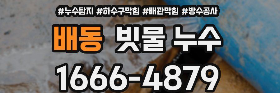 배동 빗물 누수