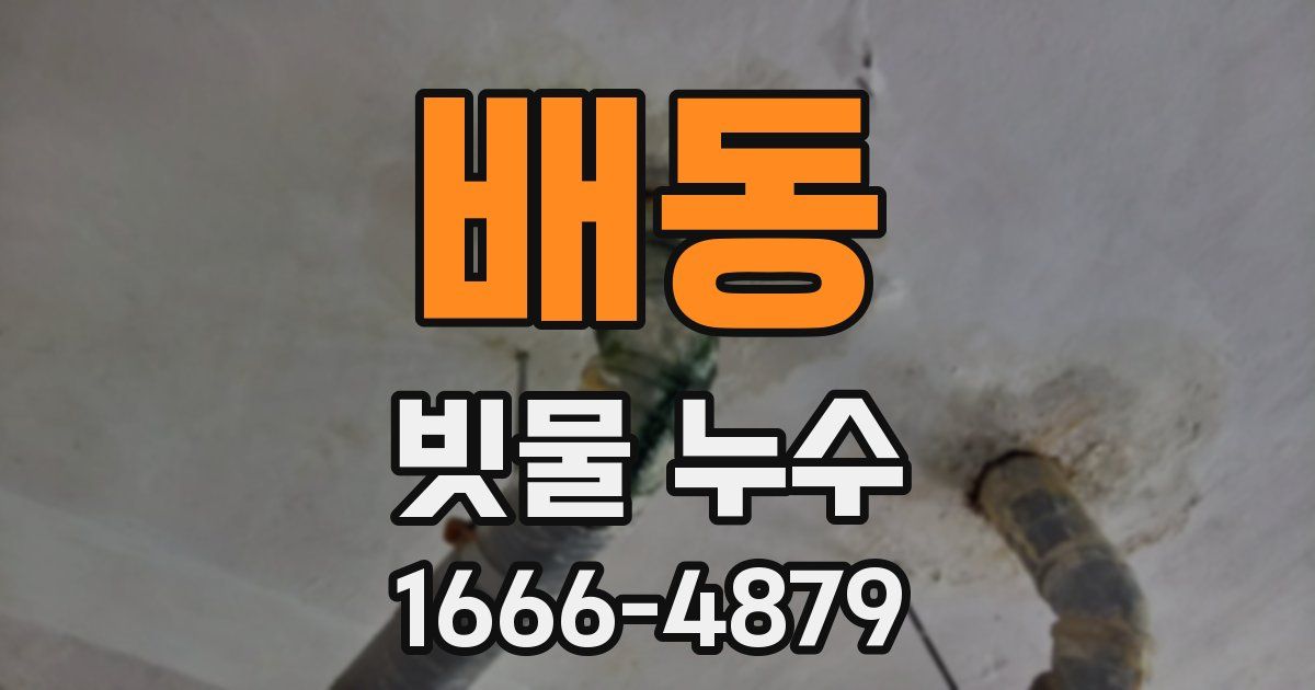 배동 빗물 누수