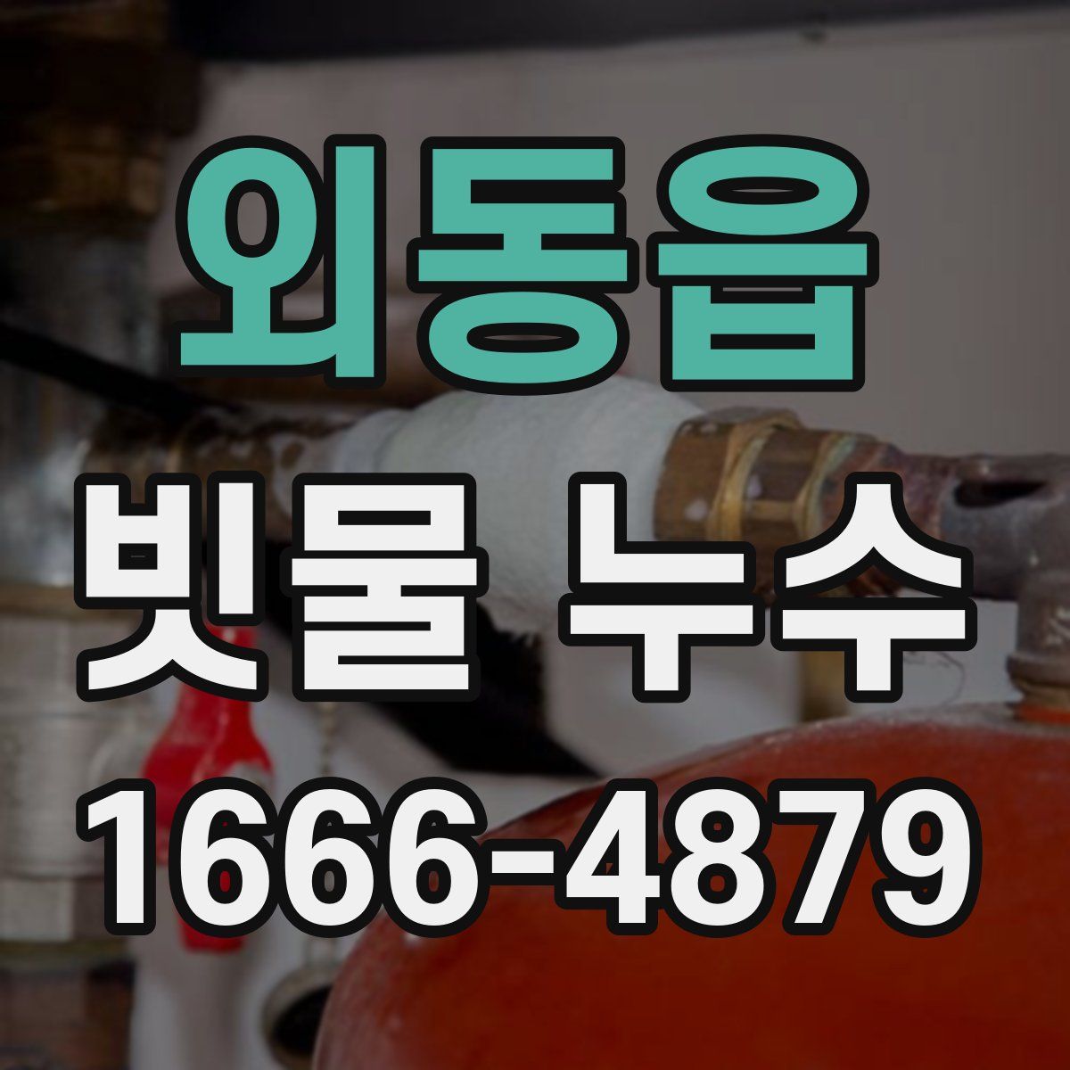 외동읍 빗물 누수