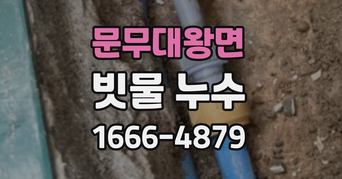 문무대왕면 빗물 누수