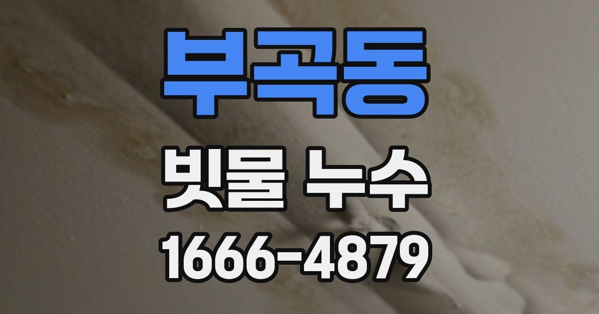 부곡동 빗물 누수