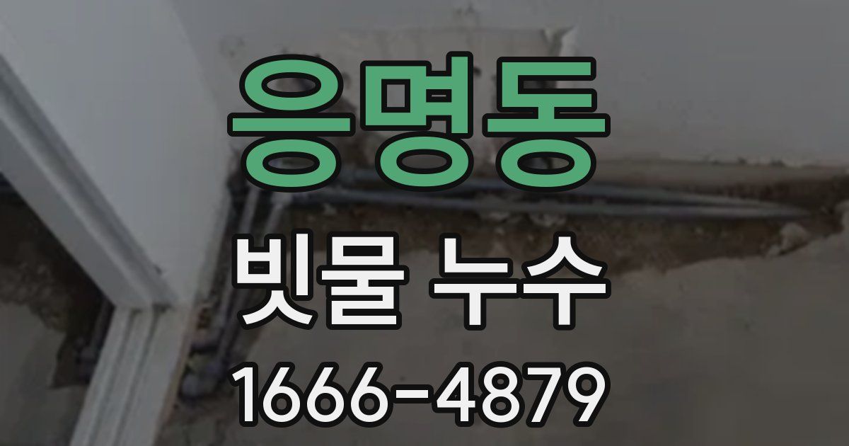 응명동 빗물 누수