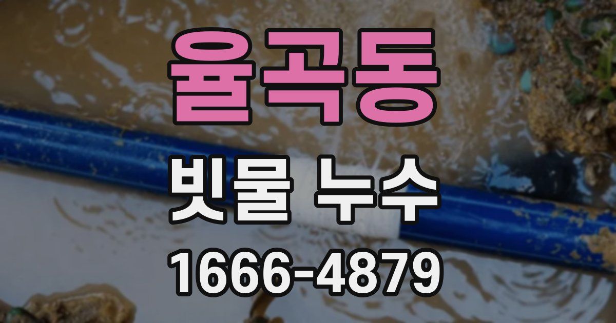율곡동 빗물 누수