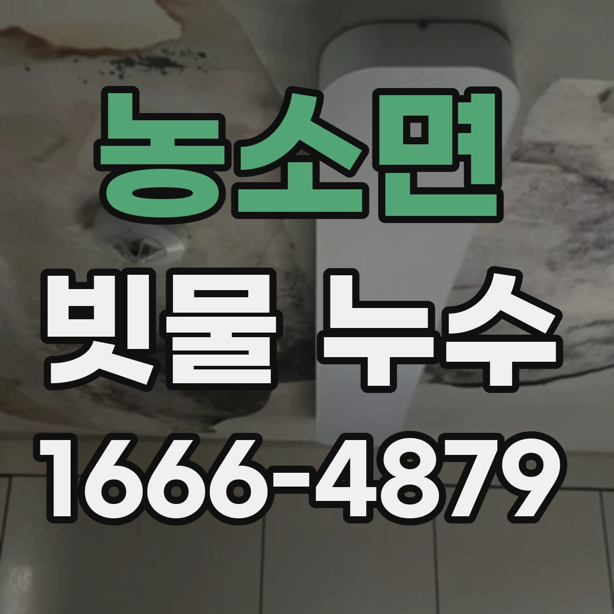 농소면 빗물 누수
