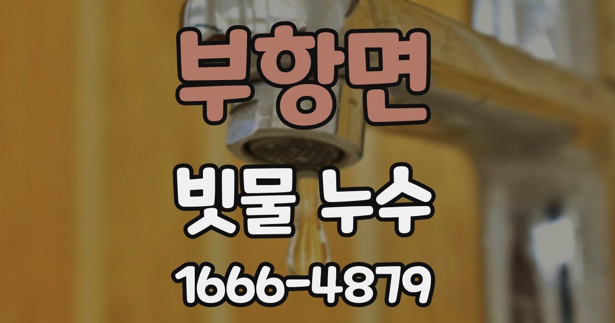 부항면 빗물 누수