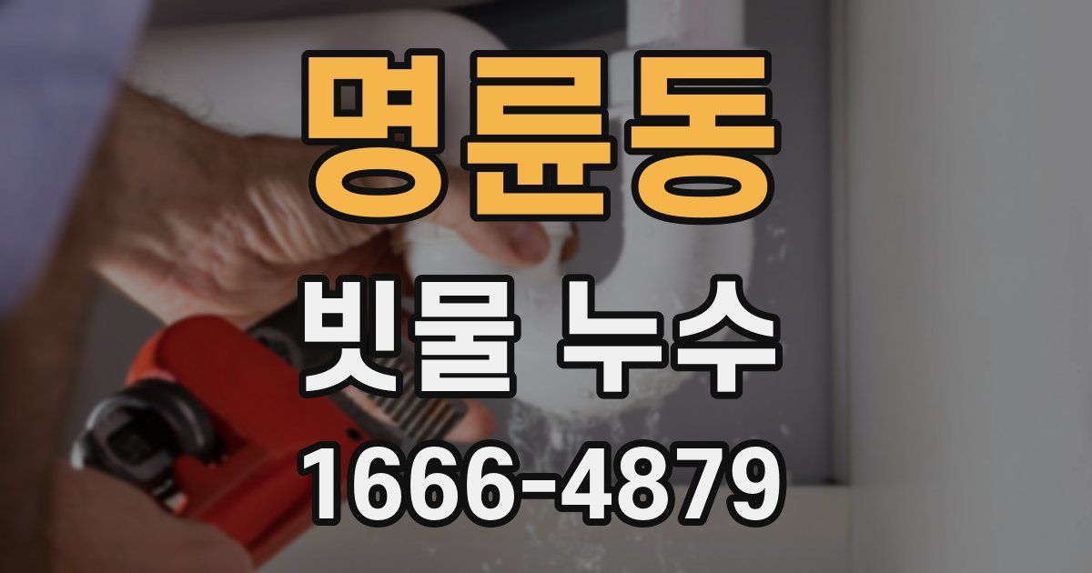 명륜동 빗물 누수