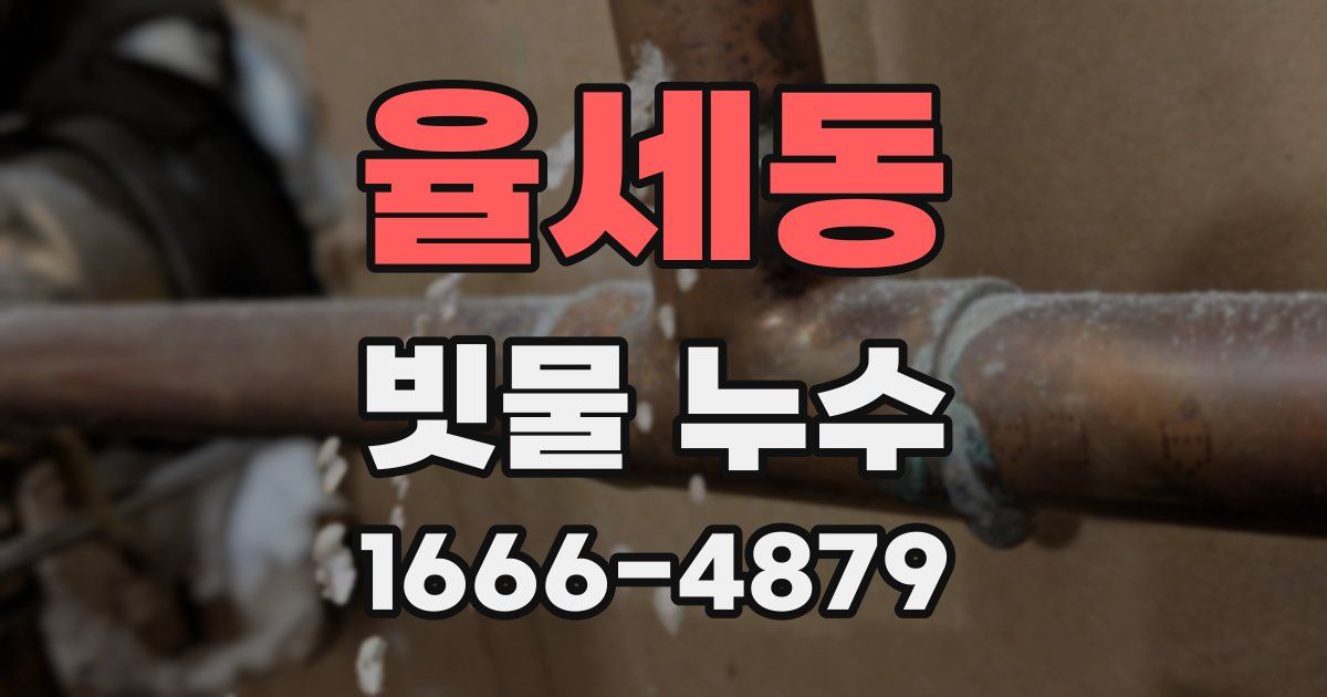 율세동 빗물 누수