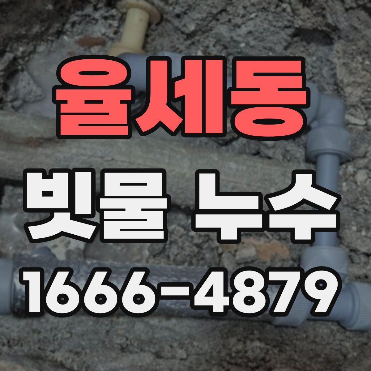 율세동 빗물 누수