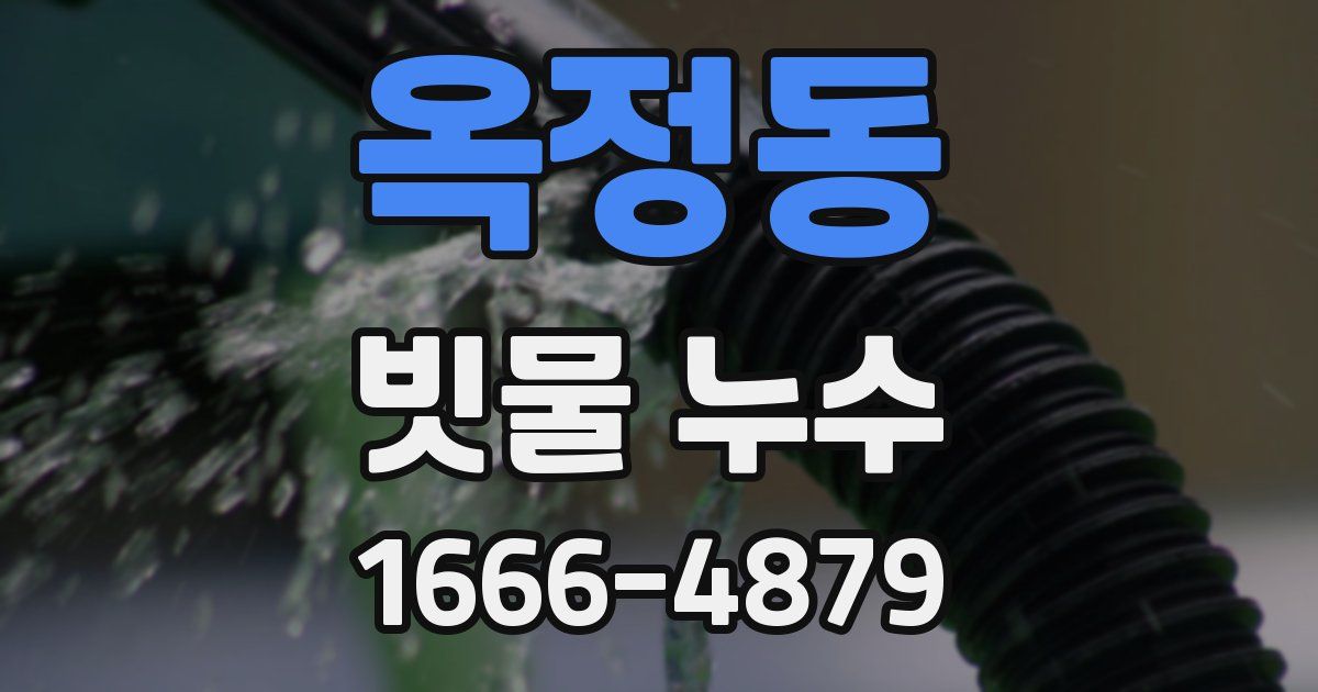 옥정동 빗물 누수