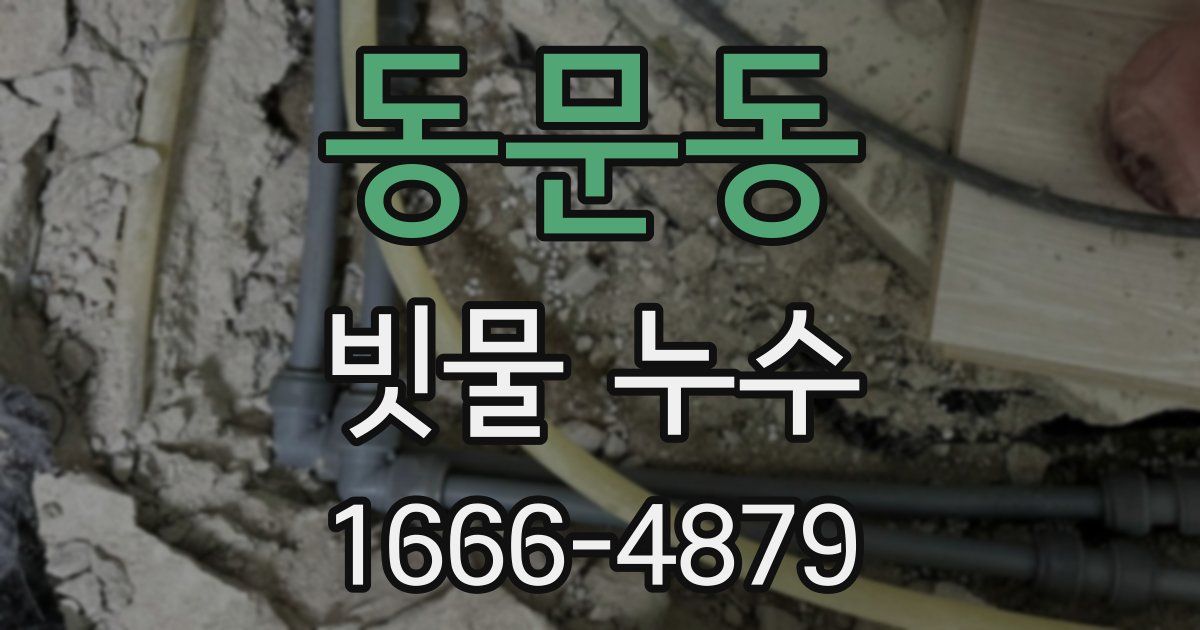 동문동 빗물 누수