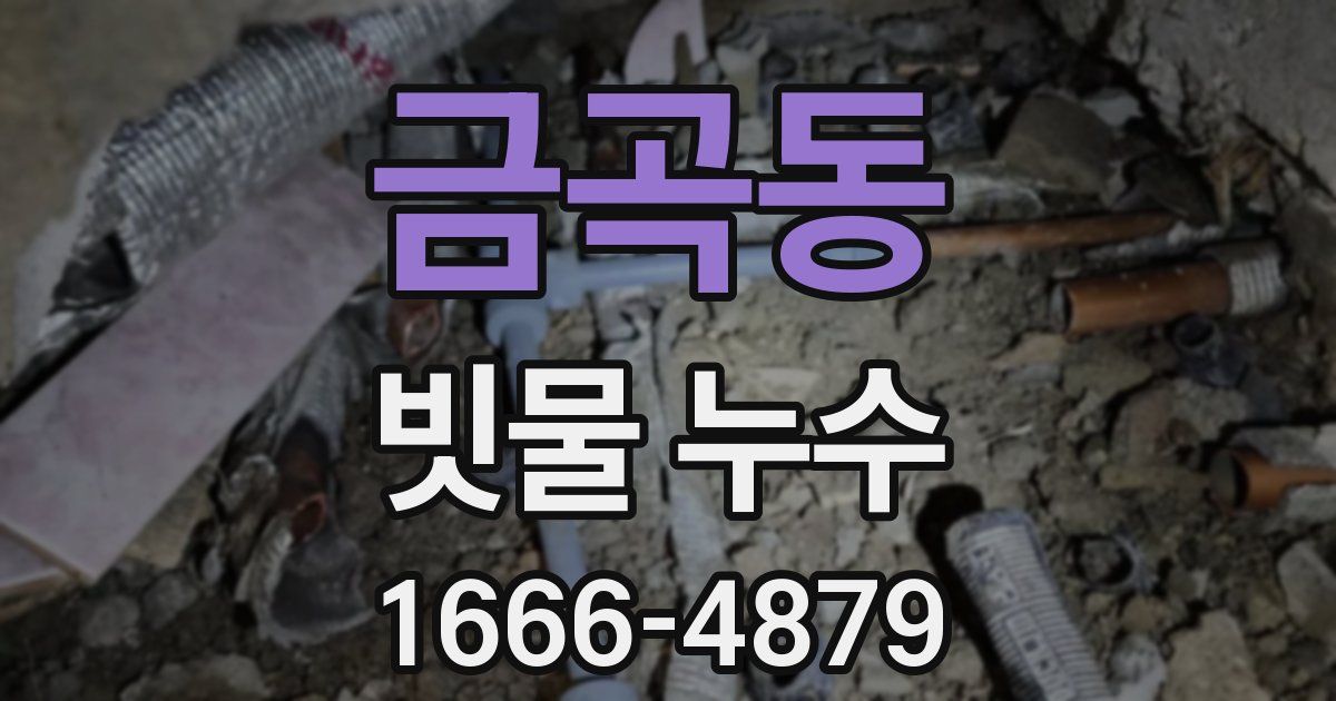 금곡동 빗물 누수