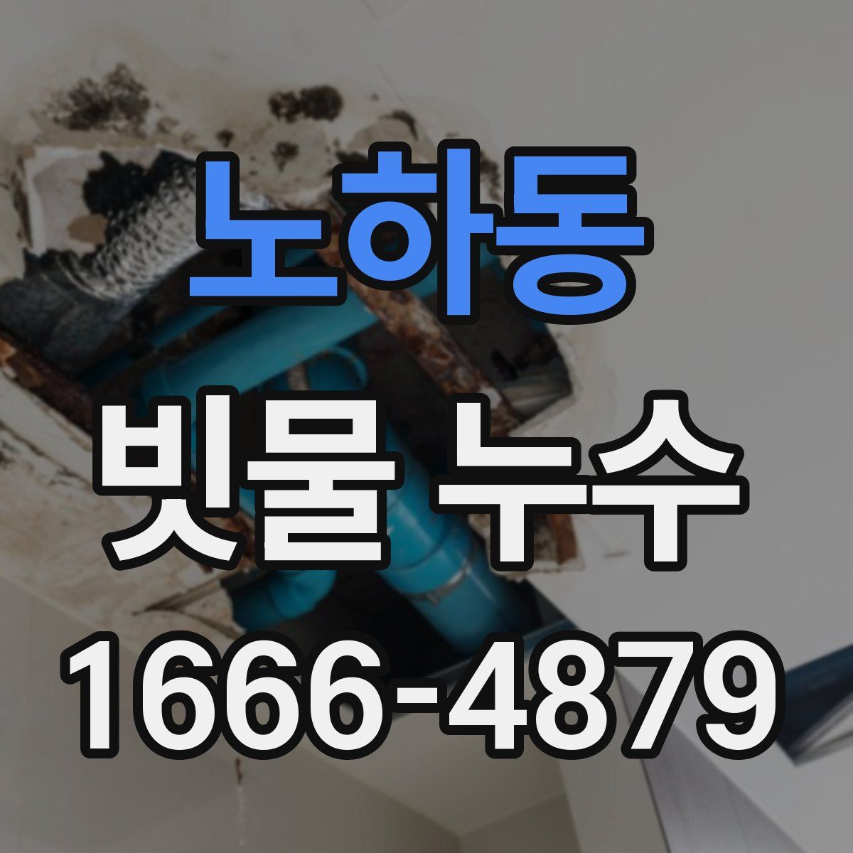 노하동 빗물 누수