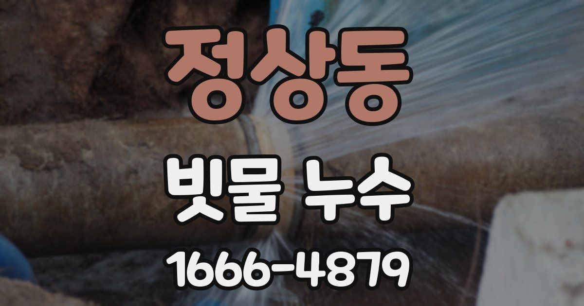 정상동 빗물 누수