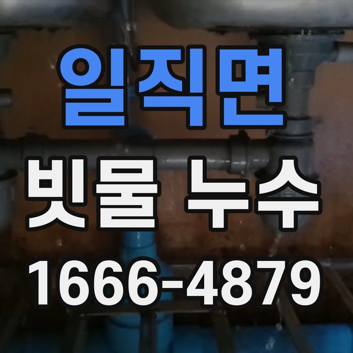 일직면 빗물 누수