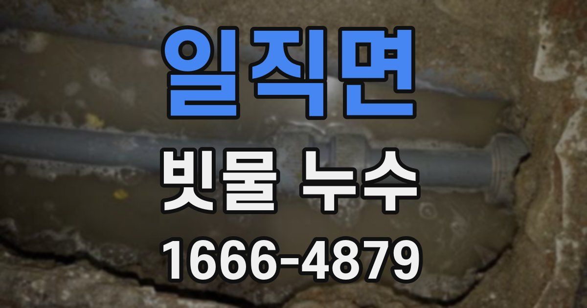 일직면 빗물 누수