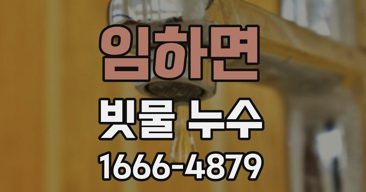 임하면 빗물 누수