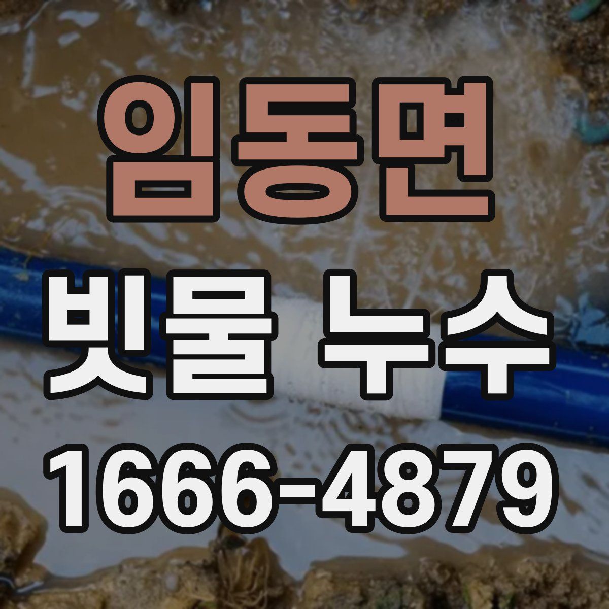 임동면 빗물 누수