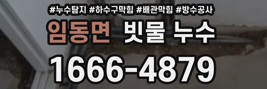 임동면 빗물 누수