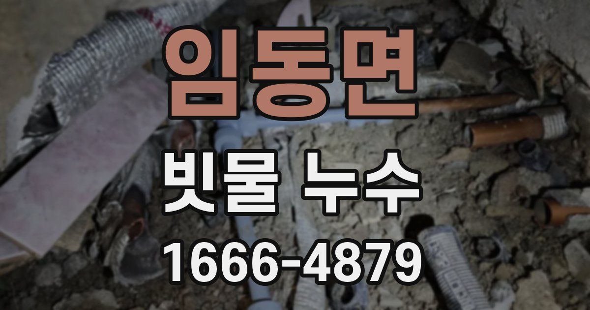 임동면 빗물 누수