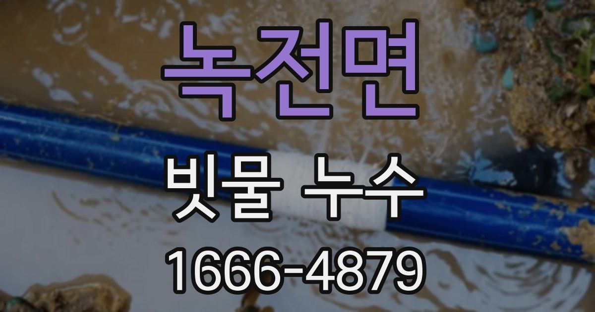 녹전면 빗물 누수