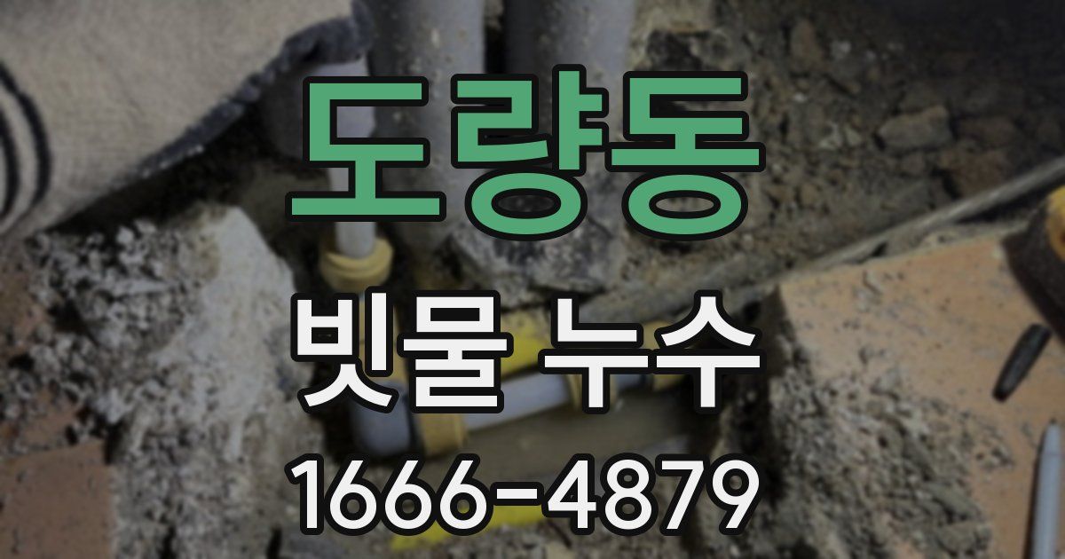 도량동 빗물 누수