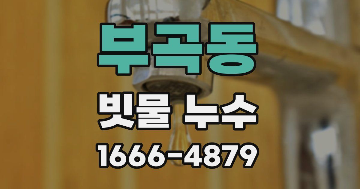 부곡동 빗물 누수