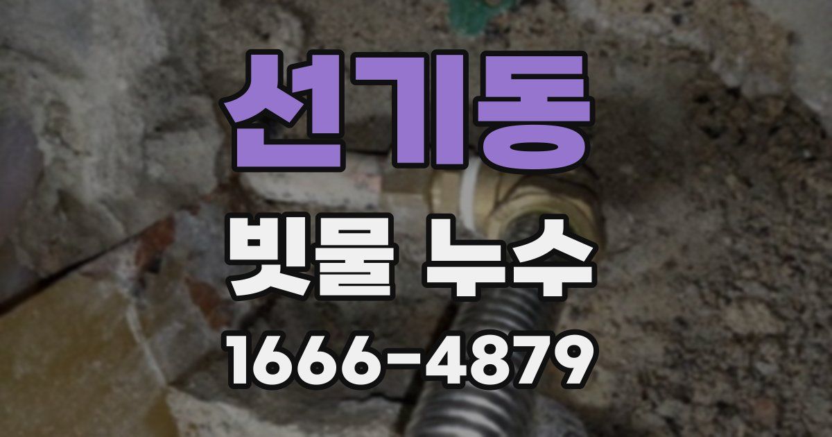 선기동 빗물 누수