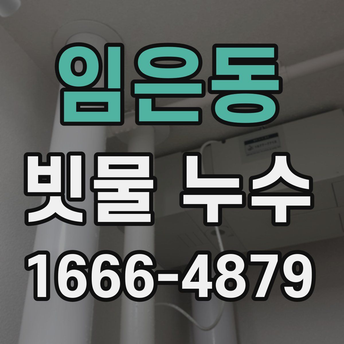임은동 빗물 누수