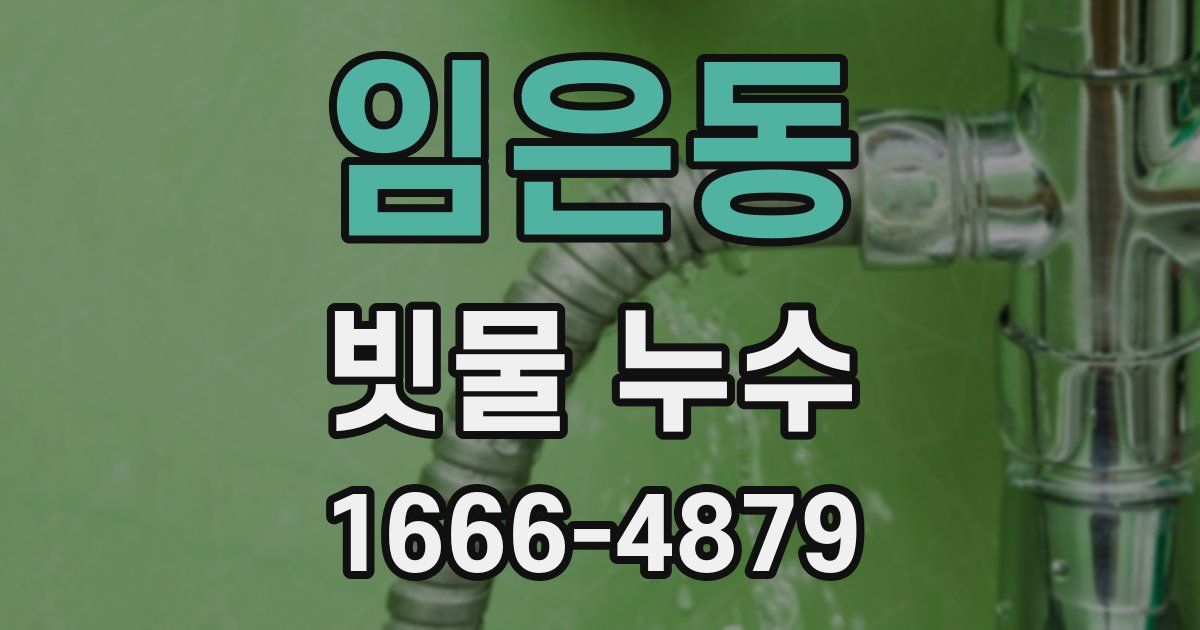 임은동 빗물 누수