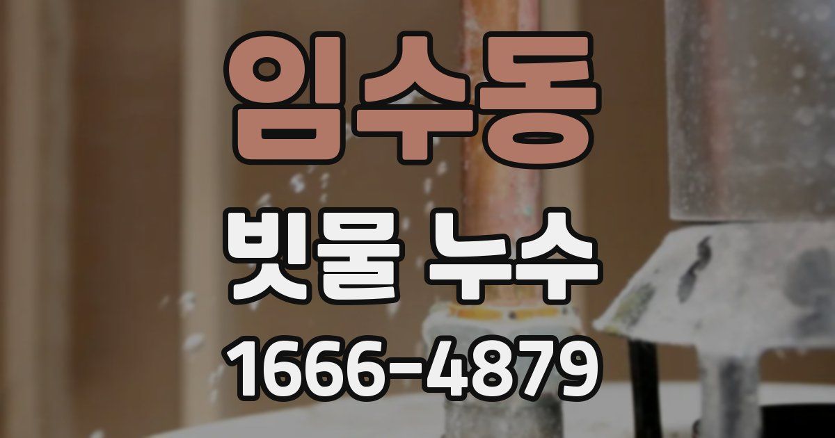 임수동 빗물 누수