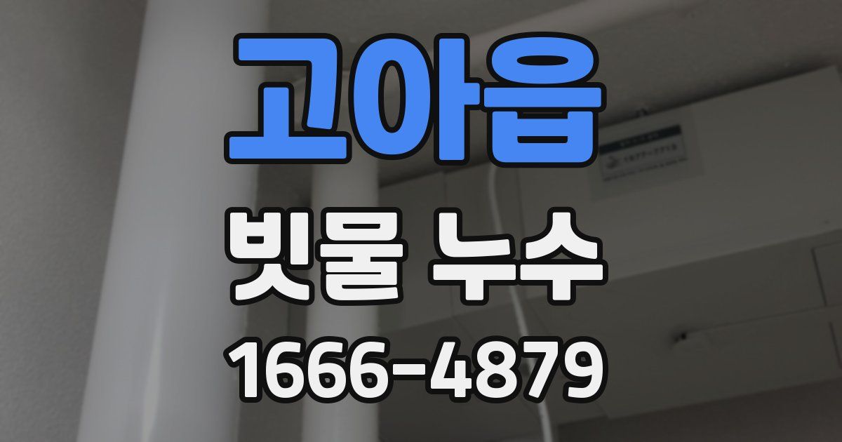고아읍 빗물 누수