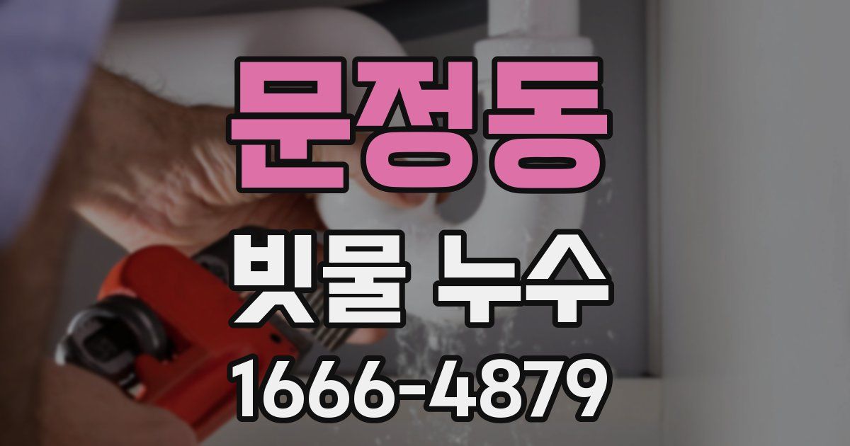 문정동 빗물 누수