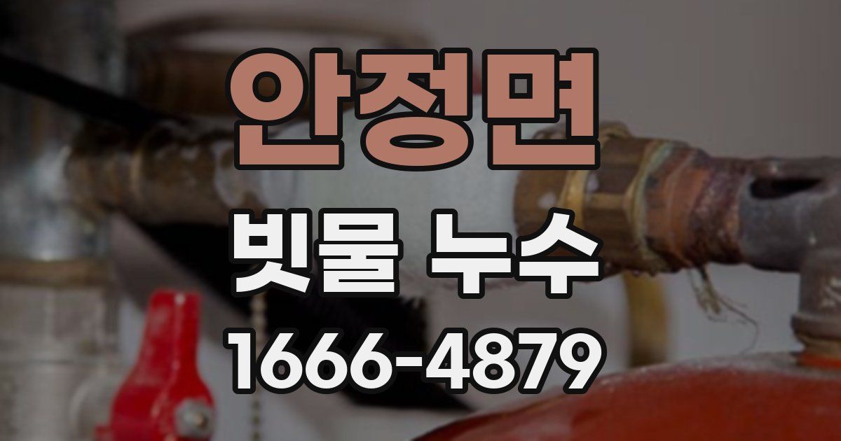 안정면 빗물 누수